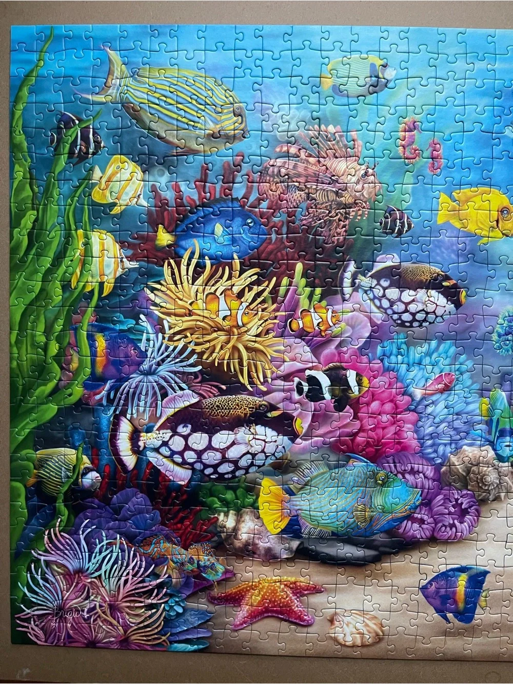 Ravensburger 750-Piece Large Piece Format   Puzzle Colorful Ocean Scene